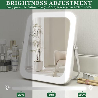 Dimmable Light-up Vanity Mirror